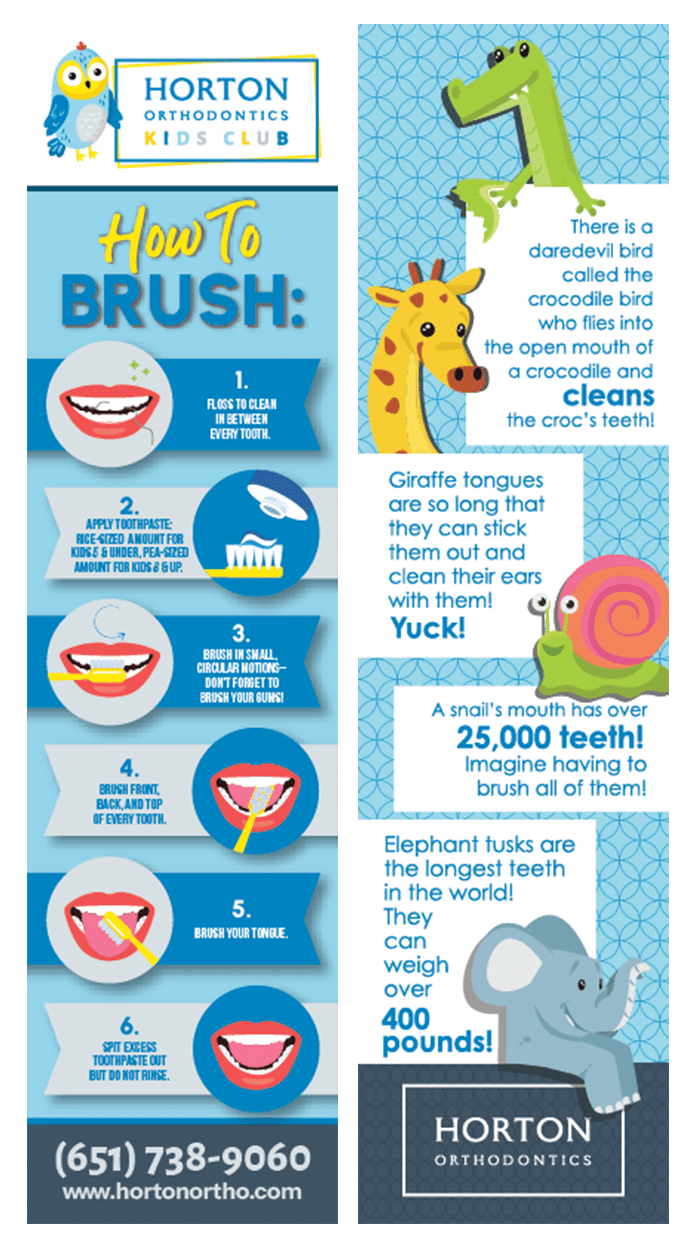Horton who's kids club 3 How to brush graphic